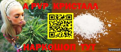 ПСИЛОЦИБИНОВЫЕ ГРИБЫ Коммунар