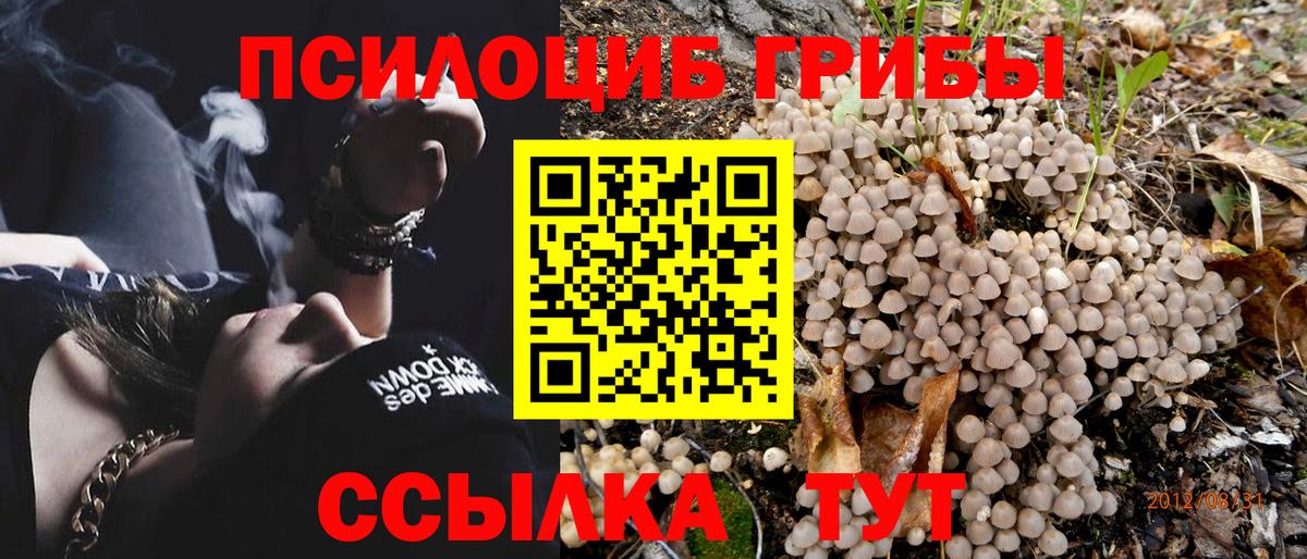 Галлюциногенные грибы Psilocybe  Вход с VPN  Магадан 